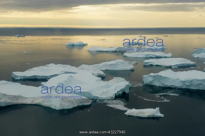 : Greenland, Illulissat, Icebergs in fjord : Greenland, Illulissat, Icebergs in fjord