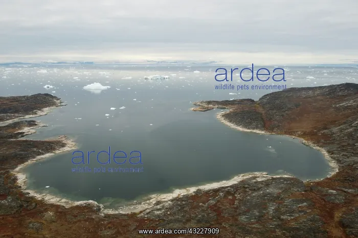 : Greenland, Illulissat, small coastal bay : Greenland, Illulissat, small coastal bay