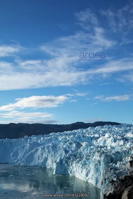 : Greenland, Ilulissat, Blue ice face of Eqip : Greenland, Ilulissat, Blue ice face of Eqip
