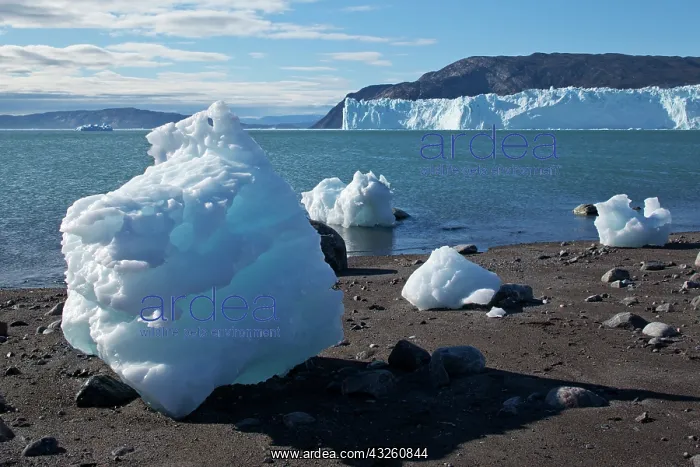 : Greenland, Ilulissat, Icebergs calved from : Greenland, Ilulissat, Icebergs calved from