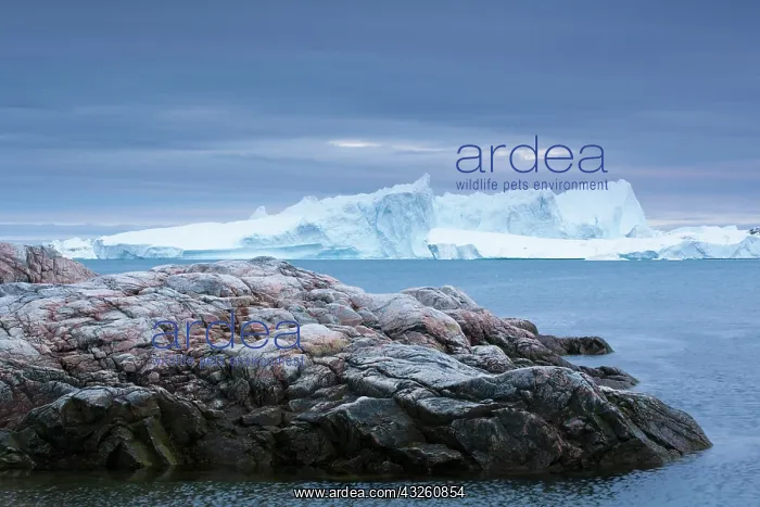 : Greenland, Ilulissat, Icebergs calved from : Greenland, Ilulissat, Icebergs calved from