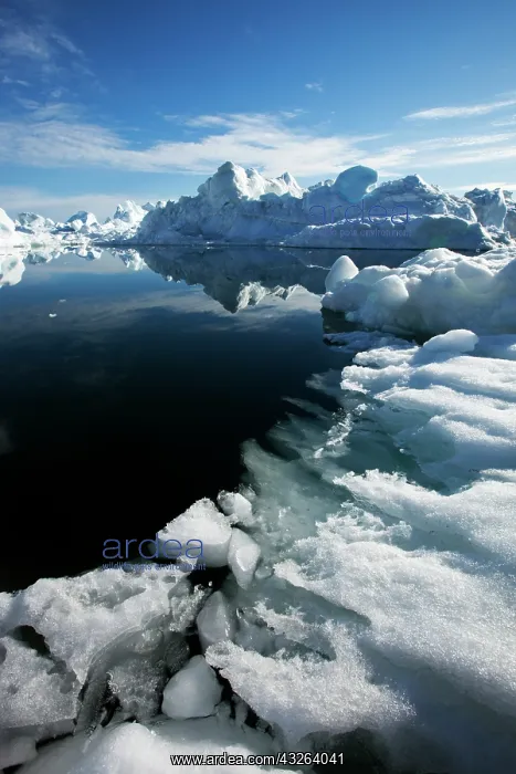 : Greenland, Ilulissat, Icebergs from Jakobshavn : Greenland, Ilulissat, Icebergs from Jakobshavn