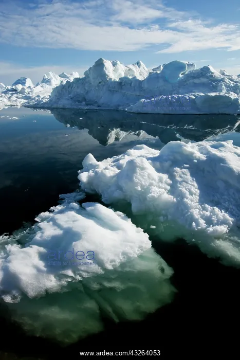  : Greenland, Ilulissat, Icebergs from Jakobshavn
