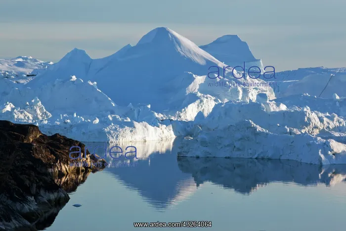 : Greenland, Ilulissat, Icebergs from Jakobshavn : Greenland, Ilulissat, Icebergs from Jakobshavn