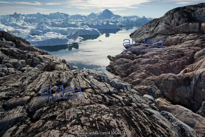 : Greenland, Ilulissat, Icebergs from Jakobshavn : Greenland, Ilulissat, Icebergs from Jakobshavn
