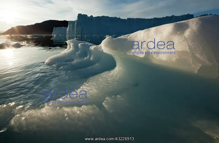 : Greenland, Ilulissat, Icebergs near face : Greenland, Ilulissat, Icebergs near face
