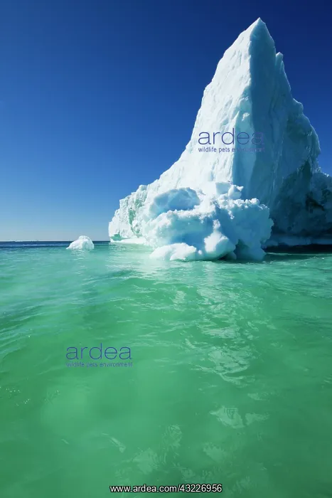 : Greenland, Ilulissat, Massive iceberg floating