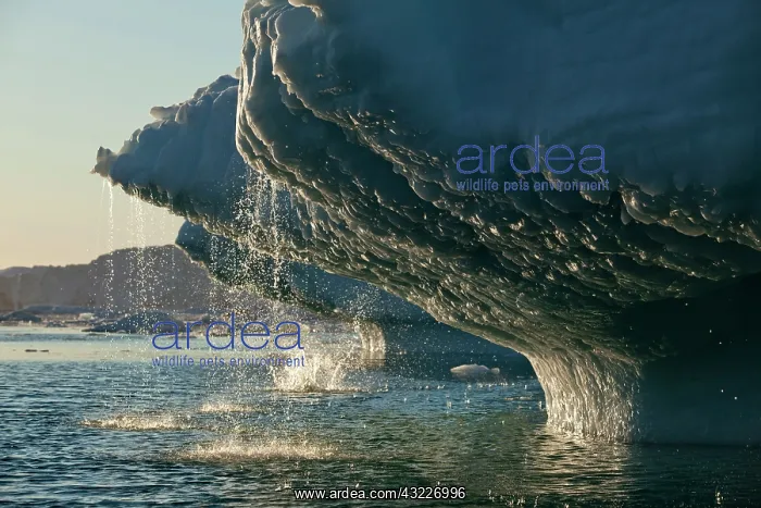 : Greenland, Ilulissat, Massive icebergs from : Greenland, Ilulissat, Massive icebergs from