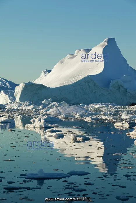 : Greenland, Ilulissat, Massive icebergs from : Greenland, Ilulissat, Massive icebergs from