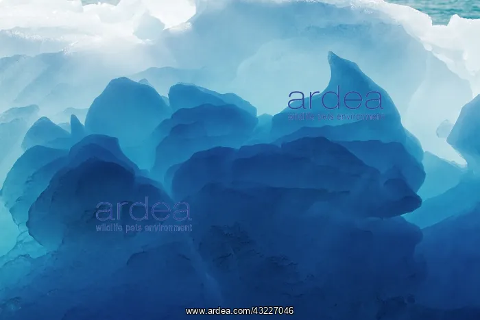 : Greenland, Ilulissat, Midday sun lights : Greenland, Ilulissat, Midday sun lights