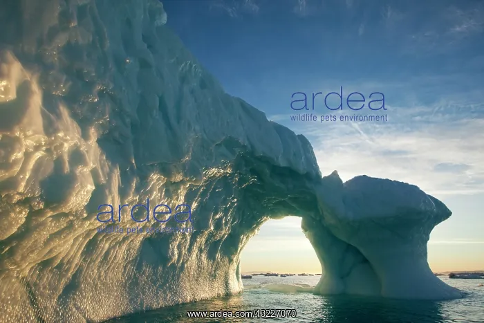 : Greenland, Ilulissat, Midnight sun lights : Greenland, Ilulissat, Midnight sun lights