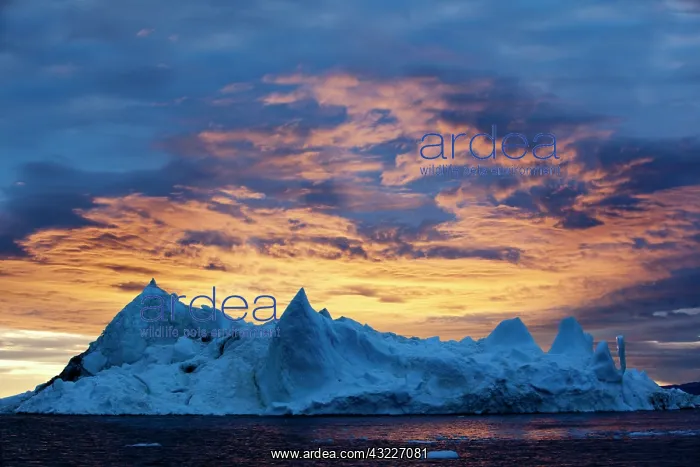 : Greenland, Ilulissat, Midnight sun lights : Greenland, Ilulissat, Midnight sun lights