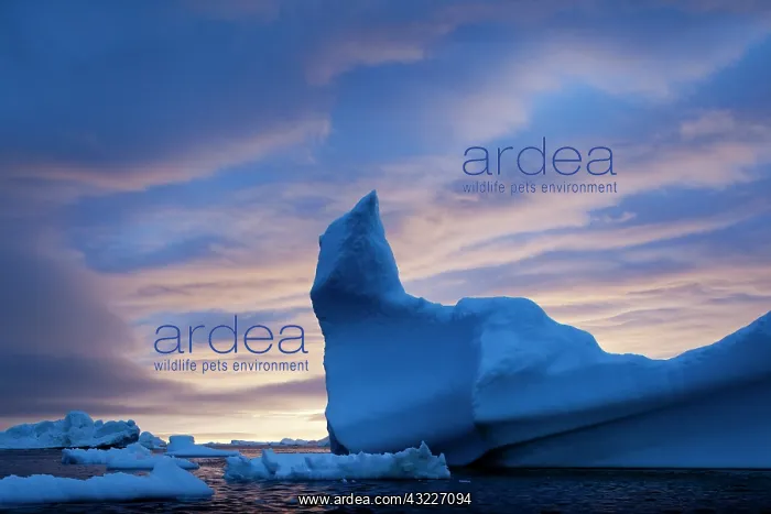 : Greenland, Ilulissat, Midnight sun lights : Greenland, Ilulissat, Midnight sun lights
