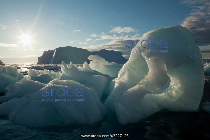 : Greenland, Ilulissat, Midnight sun lights : Greenland, Ilulissat, Midnight sun lights