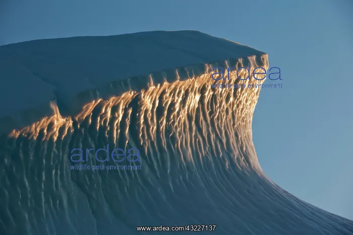 : Greenland, Ilulissat, Midnight sun lights : Greenland, Ilulissat, Midnight sun lights
