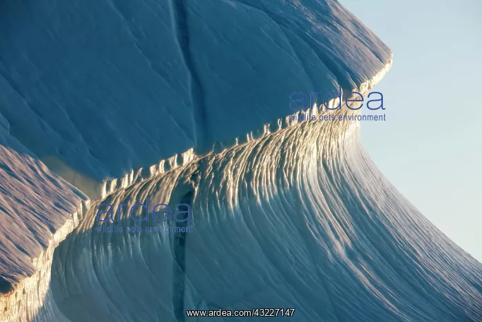 : Greenland, Ilulissat, Midnight sun lights : Greenland, Ilulissat, Midnight sun lights