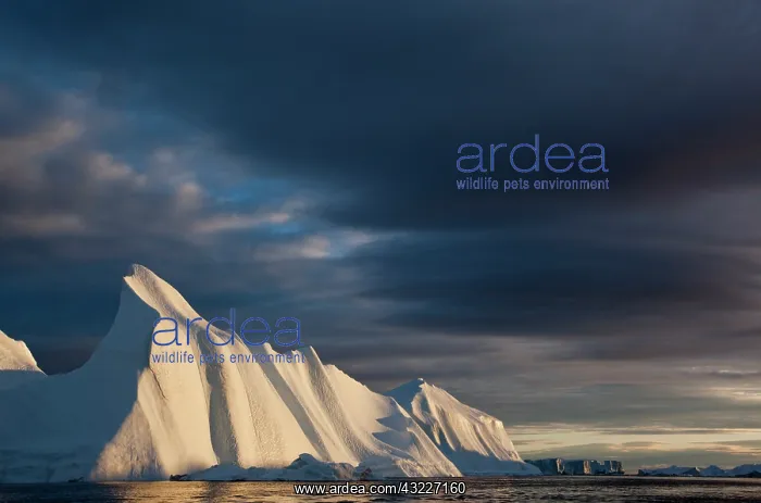 : Greenland, Ilulissat, Midnight sun lights : Greenland, Ilulissat, Midnight sun lights