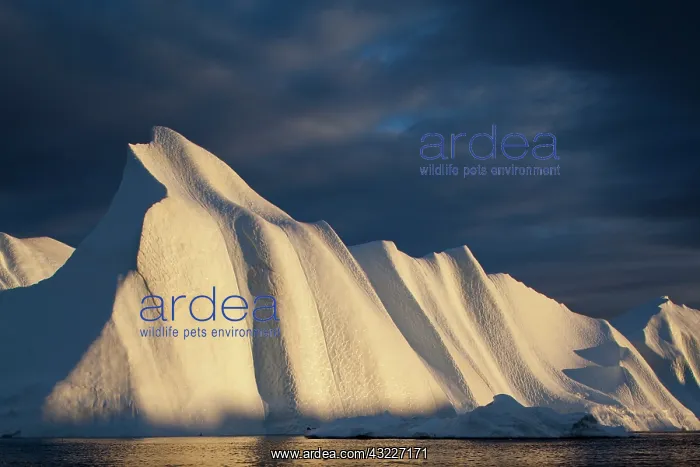 : Greenland, Ilulissat, Midnight sun lights : Greenland, Ilulissat, Midnight sun lights