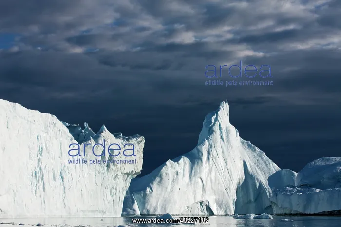 : Greenland, Ilulissat, Midnight sun lights : Greenland, Ilulissat, Midnight sun lights