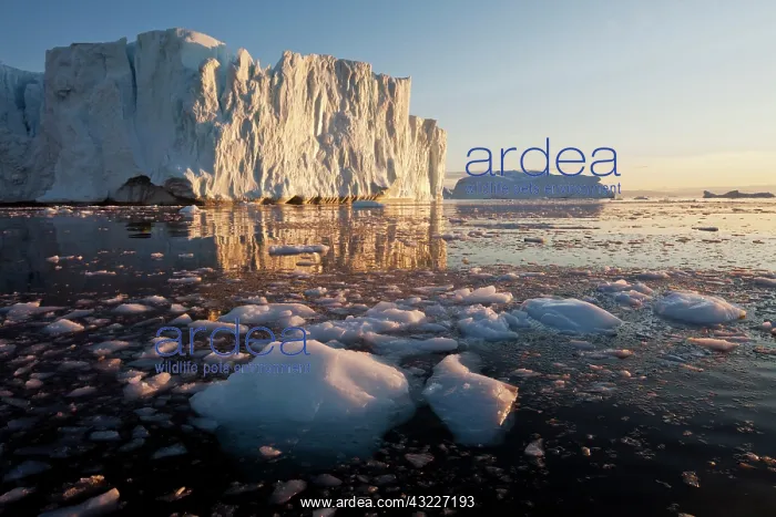 : Greenland, Ilulissat, Midnight sun lights : Greenland, Ilulissat, Midnight sun lights