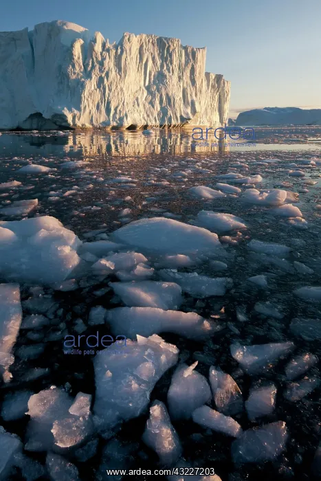 : Greenland, Ilulissat, Midnight sun lights : Greenland, Ilulissat, Midnight sun lights
