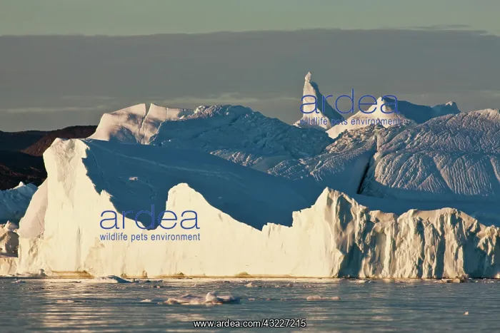 : Greenland, Ilulissat, Midnight sun lights : Greenland, Ilulissat, Midnight sun lights