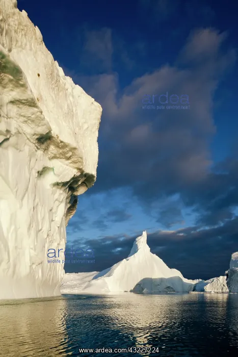 : Greenland, Ilulissat, Midnight sun lights : Greenland, Ilulissat, Midnight sun lights