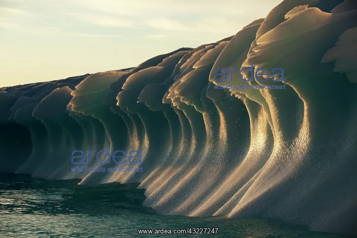 : Greenland, Ilulissat, Midnight sun lights : Greenland, Ilulissat, Midnight sun lights