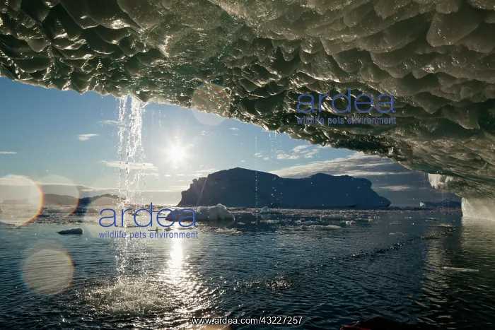 : Greenland, Ilulissat, Midnight sun lights : Greenland, Ilulissat, Midnight sun lights