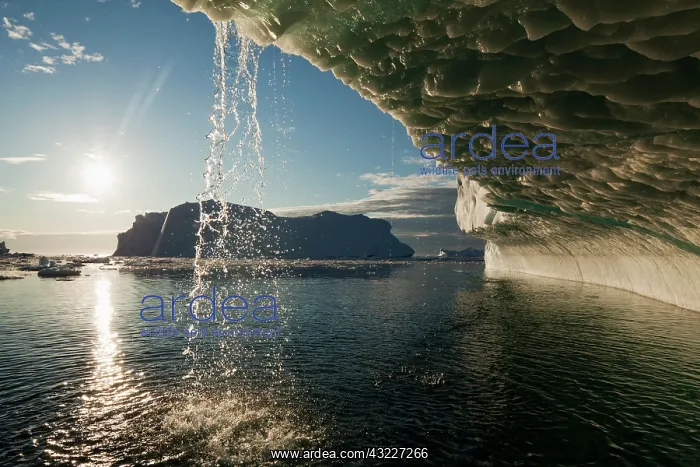 : Greenland, Ilulissat, Midnight sun lights : Greenland, Ilulissat, Midnight sun lights