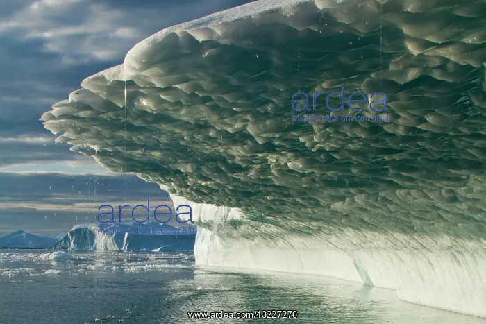 : Greenland, Ilulissat, Midnight sun lights : Greenland, Ilulissat, Midnight sun lights