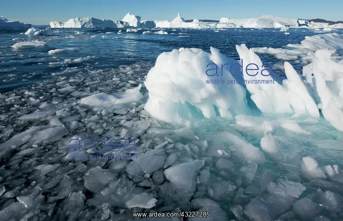 : Greenland, Ilulissat, Midnight sun lights : Greenland, Ilulissat, Midnight sun lights