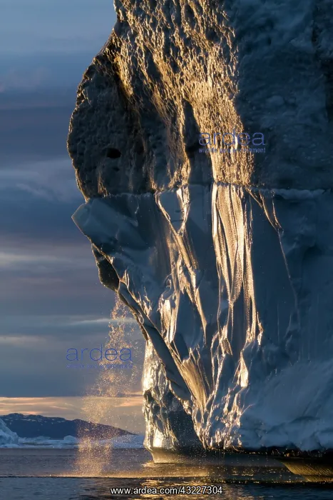 : Greenland, Ilulissat, Midnight sun lights : Greenland, Ilulissat, Midnight sun lights
