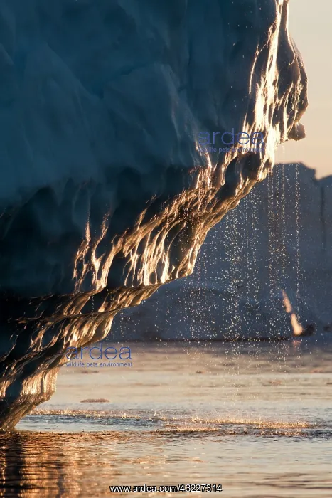 : Greenland, Ilulissat, Midnight sun lights : Greenland, Ilulissat, Midnight sun lights