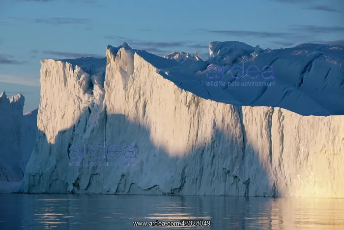 : Greenland, Ilulissat, Midnight sun lights : Greenland, Ilulissat, Midnight sun lights