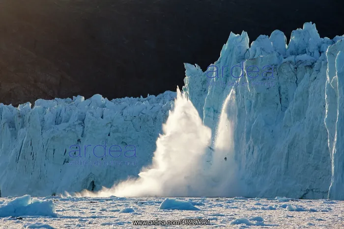 : Greenland, Ilulissat, Setting midnight sun : Greenland, Ilulissat, Setting midnight sun