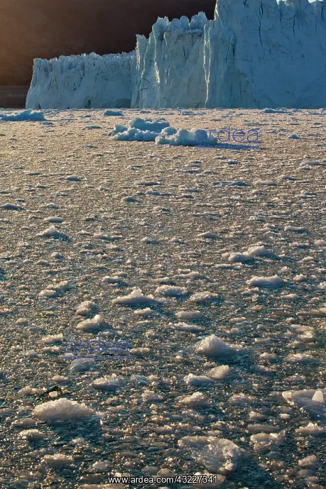 : Greenland, Ilulissat, Setting midnight sun : Greenland, Ilulissat, Setting midnight sun