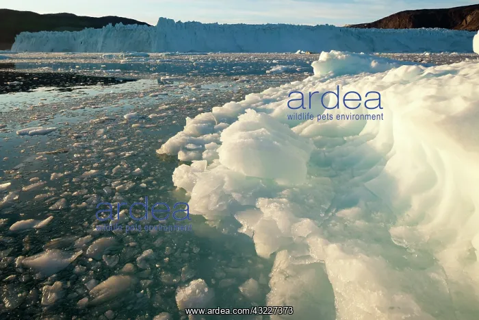 : Greenland, Ilulissat, Setting midnight sun : Greenland, Ilulissat, Setting midnight sun