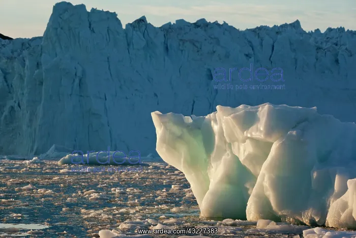 : Greenland, Ilulissat, Setting midnight sun : Greenland, Ilulissat, Setting midnight sun