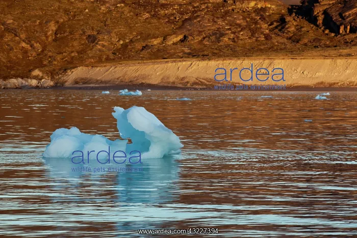 : Greenland, Ilulissat, Setting midnight sun : Greenland, Ilulissat, Setting midnight sun