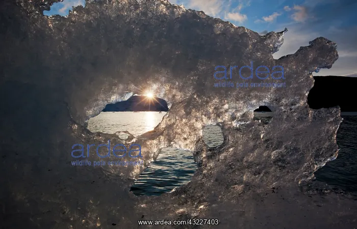 : Greenland, Ilulissat, Setting midnight sun : Greenland, Ilulissat, Setting midnight sun