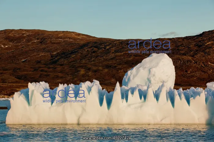 : Greenland, Ilulissat, Setting midnight sun : Greenland, Ilulissat, Setting midnight sun