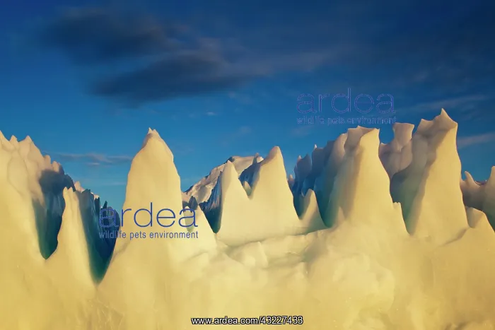 : Greenland, Ilulissat, Setting midnight sun : Greenland, Ilulissat, Setting midnight sun