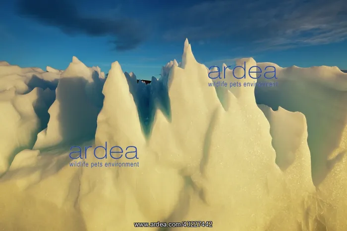: Greenland, Ilulissat, Setting midnight sun : Greenland, Ilulissat, Setting midnight sun