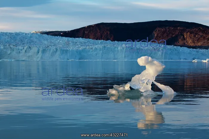 : Greenland, Ilulissat, Setting midnight sun : Greenland, Ilulissat, Setting midnight sun