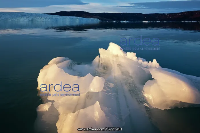 : Greenland, Ilulissat, Setting midnight sun : Greenland, Ilulissat, Setting midnight sun