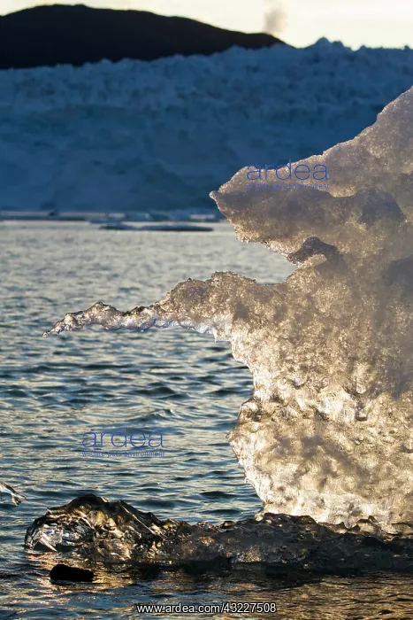 : Greenland, Ilulissat, Setting midnight sun : Greenland, Ilulissat, Setting midnight sun
