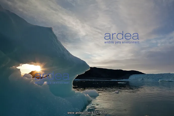 : Greenland, Ilulissat, Setting midnight sun : Greenland, Ilulissat, Setting midnight sun