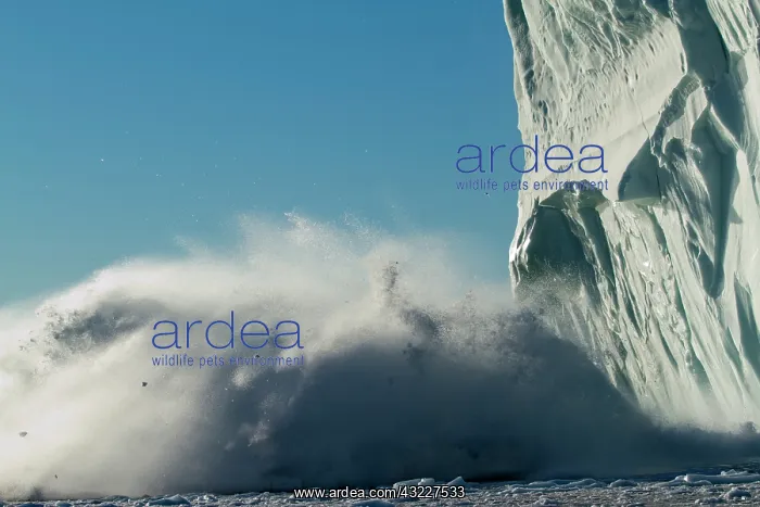 : Greenland, Ilulissat, Slab of ice falls : Greenland, Ilulissat, Slab of ice falls