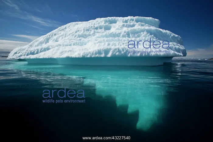 : Greenland, Ilulissat, Submerged base of : Greenland, Ilulissat, Submerged base of